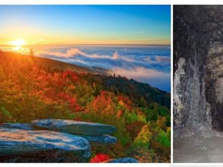 Шайтанова Ю.Г.